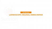 Laparoscopic Inguinal Hernia Repair